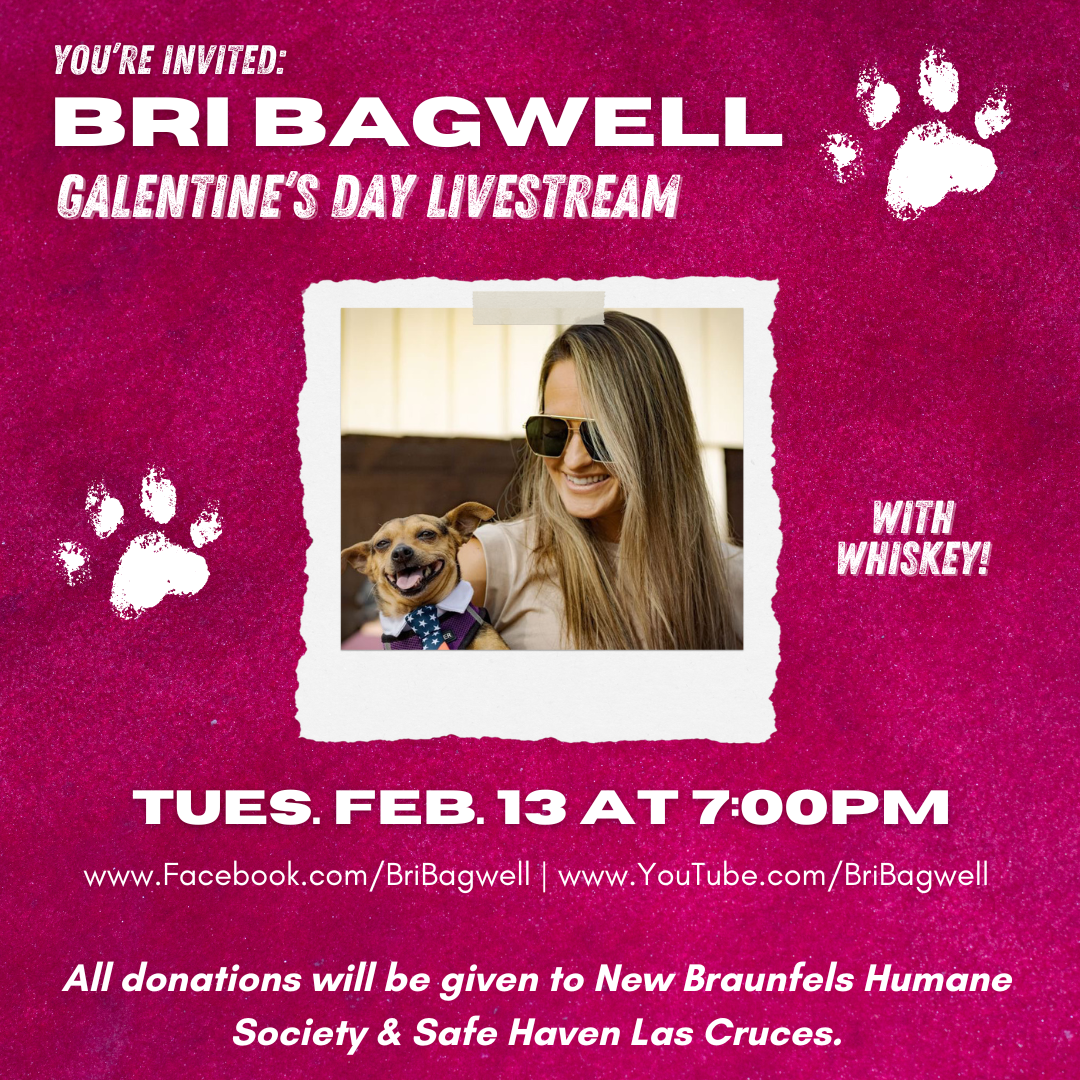 Bri Bagwell's Galentine's Day Livestream - Online